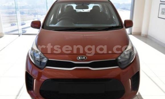 Nunua Ilio tumika Kia Picanto Red Gari ndani ya Ezulwini nchini Hhohho Nunua Ilio tumika Kia Picanto Red Gari ndani ya Ezulwini nchini Hhohho