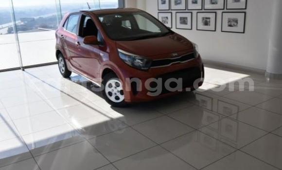 Nunua Ilio tumika Kia Picanto Red Gari ndani ya Ezulwini nchini Hhohho Nunua Ilio tumika Kia Picanto Red Gari ndani ya Ezulwini nchini Hhohho