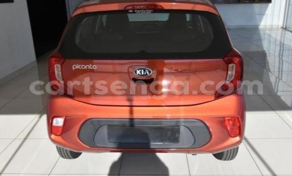 Nunua Ilio tumika Kia Picanto Red Gari ndani ya Ezulwini nchini Hhohho Nunua Ilio tumika Kia Picanto Red Gari ndani ya Ezulwini nchini Hhohho