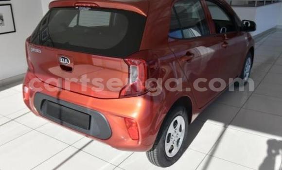 Nunua Ilio tumika Kia Picanto Red Gari ndani ya Ezulwini nchini Hhohho Nunua Ilio tumika Kia Picanto Red Gari ndani ya Ezulwini nchini Hhohho