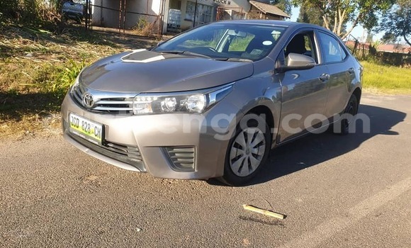 Buy Used Toyota Corolla Brown Car in Manzini in Manzini Buy Used Toyota Corolla Brown Car in Manzini in Manzini