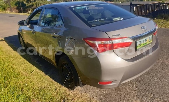 Buy Used Toyota Corolla Brown Car in Manzini in Manzini Buy Used Toyota Corolla Brown Car in Manzini in Manzini