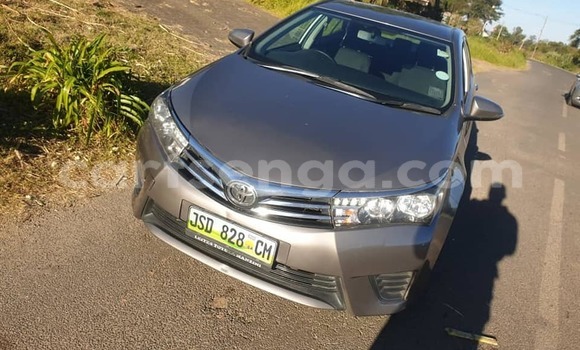 Buy Used Toyota Corolla Brown Car in Manzini in Manzini Buy Used Toyota Corolla Brown Car in Manzini in Manzini