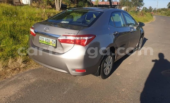 Buy Used Toyota Corolla Brown Car in Manzini in Manzini Buy Used Toyota Corolla Brown Car in Manzini in Manzini