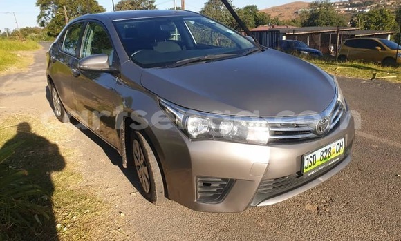 Buy Used Toyota Corolla Brown Car in Manzini in Manzini Buy Used Toyota Corolla Brown Car in Manzini in Manzini