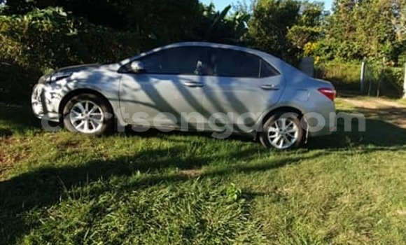 Buy Used Toyota Corolla Silver Car in Mbabane in Manzini Buy Used Toyota Corolla Silver Car in Mbabane in Manzini