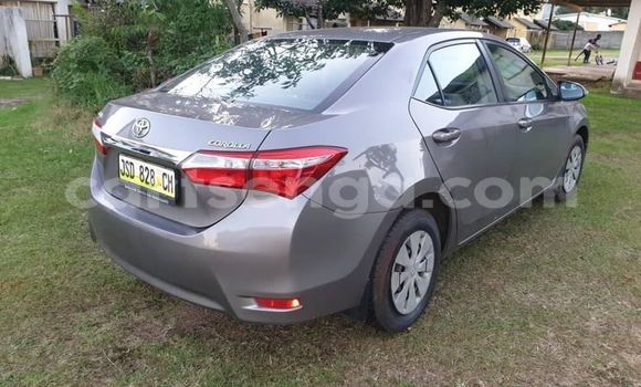 Buy Used Toyota Corolla Other Car in Mbabane in Manzini Buy Used Toyota Corolla Other Car in Mbabane in Manzini