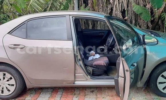 Buy Used Toyota Corolla Other Car in Mbabane in Manzini Buy Used Toyota Corolla Other Car in Mbabane in Manzini