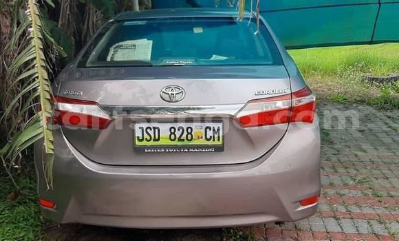 Buy Used Toyota Corolla Other Car in Mbabane in Manzini Buy Used Toyota Corolla Other Car in Mbabane in Manzini
