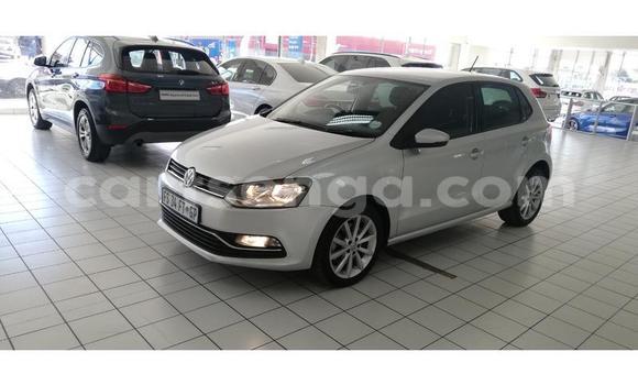 Acheter Occasion Voiture Volkswagen Polo Gris à Manzini, Manzini Acheter Occasion Voiture Volkswagen Polo Gris à Manzini, Manzini