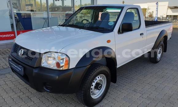 Buy Used Nissan NP 300 White Car in Ezulwini in Hhohho Buy Used Nissan NP 300 White Car in Ezulwini in Hhohho