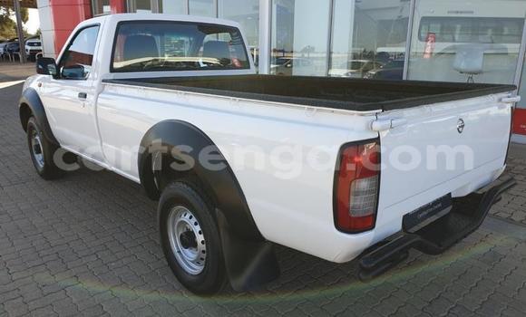 Buy Used Nissan NP 300 White Car in Ezulwini in Hhohho Buy Used Nissan NP 300 White Car in Ezulwini in Hhohho