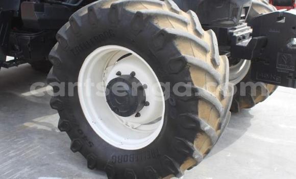 Nunua Ilio tumika Caterpillar 120 Blue Lori ndani ya Kubuta nchini Wilaya ya Shiselweni Nunua Ilio tumika Caterpillar 120 Blue Lori ndani ya Kubuta nchini Wilaya ya Shiselweni