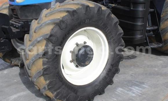 Nunua Ilio tumika Caterpillar 120 Blue Lori ndani ya Kubuta nchini Wilaya ya Shiselweni Nunua Ilio tumika Caterpillar 120 Blue Lori ndani ya Kubuta nchini Wilaya ya Shiselweni