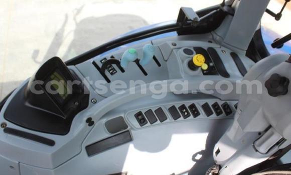 Nunua Ilio tumika Caterpillar 120 Blue Lori ndani ya Kubuta nchini Wilaya ya Shiselweni Nunua Ilio tumika Caterpillar 120 Blue Lori ndani ya Kubuta nchini Wilaya ya Shiselweni