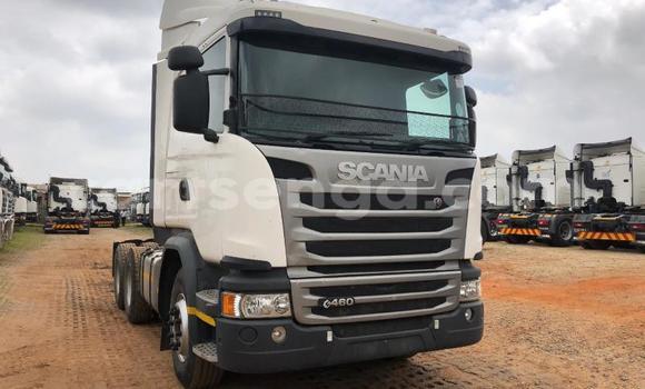 Buy Used Scania R420 White Truck in Hlatikulu in Shiselweni District Buy Used Scania R420 White Truck in Hlatikulu in Shiselweni District