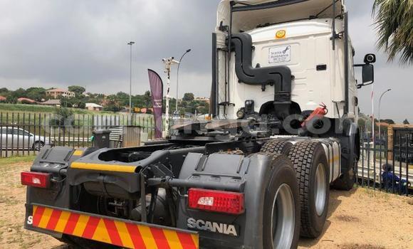 Nunua Ilio tumika Scania R420 White Lori ndani ya Hlatikulu nchini Wilaya ya Shiselweni Nunua Ilio tumika Scania R420 White Lori ndani ya Hlatikulu nchini Wilaya ya Shiselweni