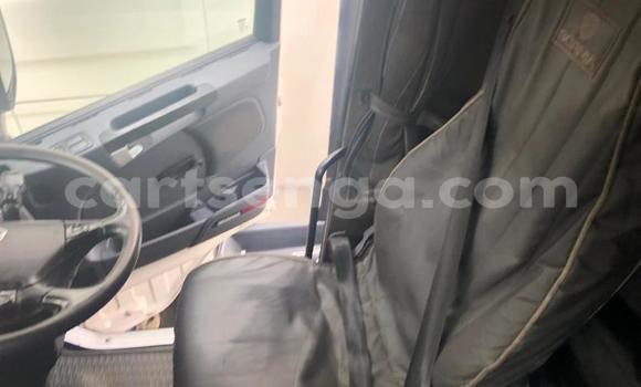 Nunua Ilio tumika Scania R420 White Lori ndani ya Hlatikulu nchini Wilaya ya Shiselweni Nunua Ilio tumika Scania R420 White Lori ndani ya Hlatikulu nchini Wilaya ya Shiselweni