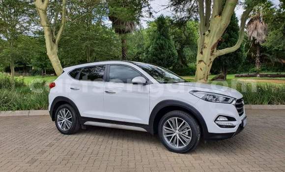 Nunua Ilio tumika Hyundai Tucson White Gari ndani ya Ezulwini nchini Hhohho