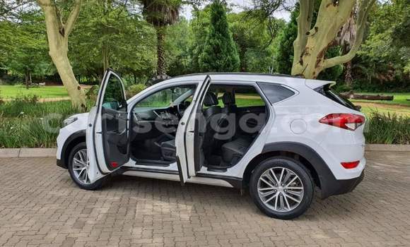 Nunua Ilio tumika Hyundai Tucson White Gari ndani ya Ezulwini nchini Hhohho Nunua Ilio tumika Hyundai Tucson White Gari ndani ya Ezulwini nchini Hhohho