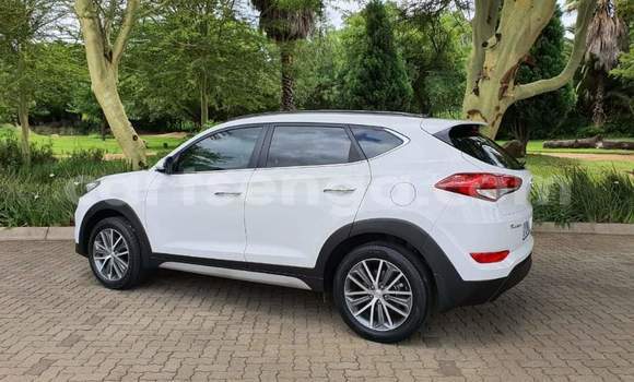 Nunua Ilio tumika Hyundai Tucson White Gari ndani ya Ezulwini nchini Hhohho Nunua Ilio tumika Hyundai Tucson White Gari ndani ya Ezulwini nchini Hhohho