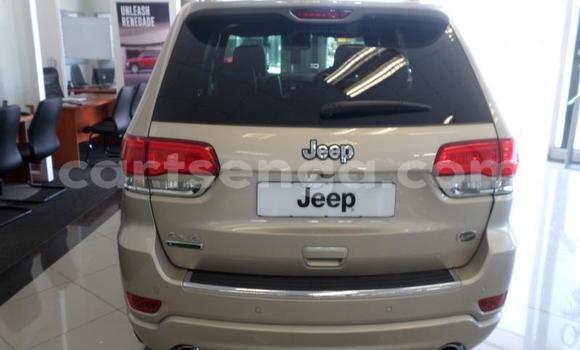 Acheter Occasion Voiture Jeep Grand Cherokee Autre à Mbabane, Manzini Acheter Occasion Voiture Jeep Grand Cherokee Autre à Mbabane, Manzini