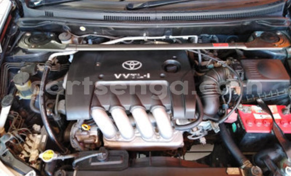 Nunua Ilio tumika Toyota Runx Black Gari ndani ya Kwaluseni nchini Manzini Nunua Ilio tumika Toyota Runx Black Gari ndani ya Kwaluseni nchini Manzini