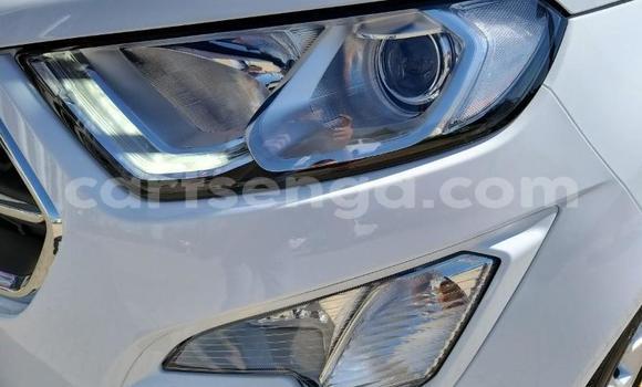 Buy Used Ford EcoSport White Car in Ezulwini in Hhohho Buy Used Ford EcoSport White Car in Ezulwini in Hhohho
