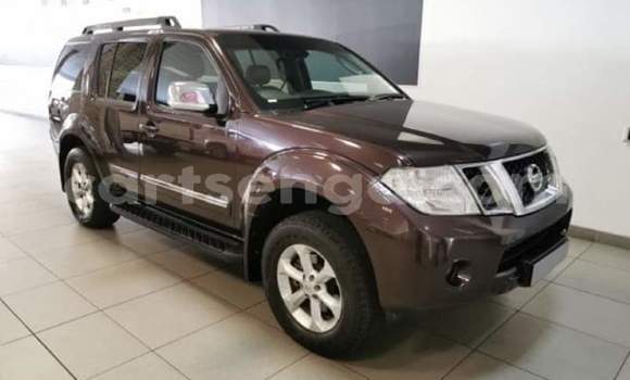Buy Used Nissan Pathfinder Brown Car in Manzini in Manzini Buy Used Nissan Pathfinder Brown Car in Manzini in Manzini