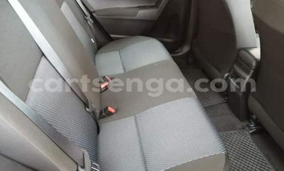 Buy Used Toyota Corolla Red Car in Manzini in Manzini Buy Used Toyota Corolla Red Car in Manzini in Manzini