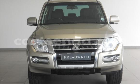 Nunua Ilio tumika Mitsubishi Pajero Sport Silver Gari ndani ya Manzini nchini Manzini