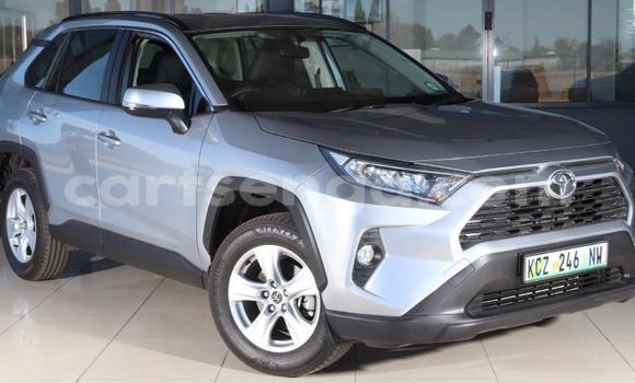 Buy Used Toyota RAV4 Silver Car in Ezulwini in Hhohho Buy Used Toyota RAV4 Silver Car in Ezulwini in Hhohho