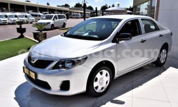 Nunua Ilio tumika Toyota Corolla Silver Gari ndani ya Ezulwini nchini Hhohho