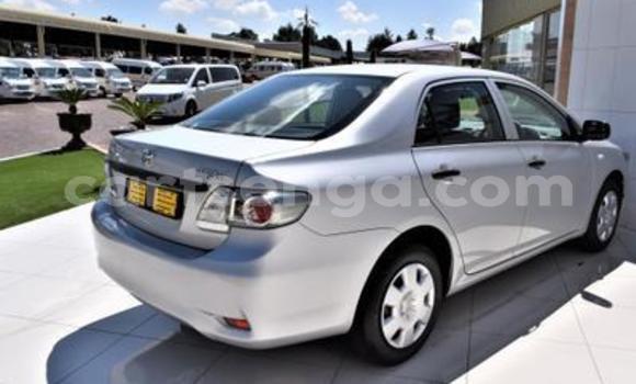 Acheter Occasion Voiture Toyota Corolla Gris à Ezulwini, Hhohho Acheter Occasion Voiture Toyota Corolla Gris à Ezulwini, Hhohho