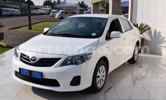 Buy Used Toyota Corolla White Car in Ezulwini in Hhohho