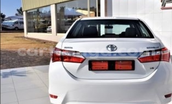 Buy Used Toyota Corolla White Car in Ezulwini in Hhohho Buy Used Toyota Corolla White Car in Ezulwini in Hhohho