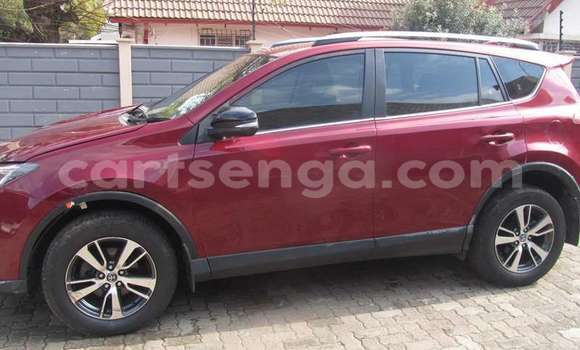 Buy Used Toyota RAV4 Red Car in Mbabane in Manzini Buy Used Toyota RAV4 Red Car in Mbabane in Manzini