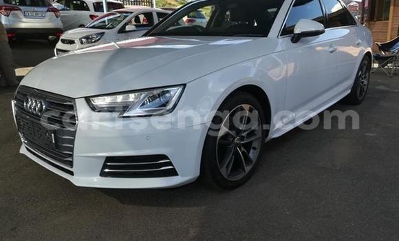 Buy Used Audi A4 White Car in Big Bend in Lubombo Buy Used Audi A4 White Car in Big Bend in Lubombo