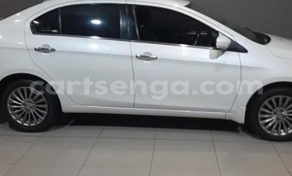 Buy Used Suzuki Celerio White Car in Vuvulane in Lubombo District Buy Used Suzuki Celerio White Car in Vuvulane in Lubombo District