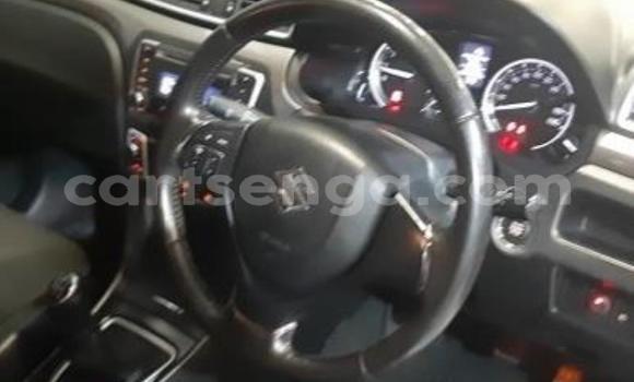 Buy Used Suzuki Celerio White Car in Vuvulane in Lubombo District Buy Used Suzuki Celerio White Car in Vuvulane in Lubombo District