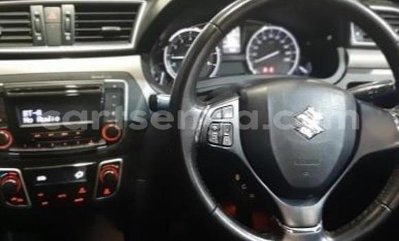 Buy Used Suzuki Celerio White Car in Vuvulane in Lubombo District Buy Used Suzuki Celerio White Car in Vuvulane in Lubombo District
