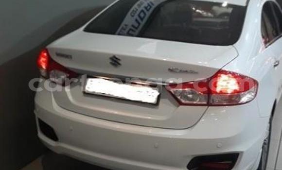 Buy Used Suzuki Celerio White Car in Vuvulane in Lubombo District Buy Used Suzuki Celerio White Car in Vuvulane in Lubombo District