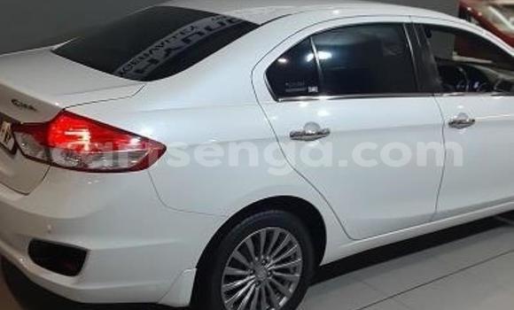 Buy Used Suzuki Celerio White Car in Vuvulane in Lubombo District Buy Used Suzuki Celerio White Car in Vuvulane in Lubombo District
