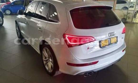 Acheter Occasion Voiture Audi SQ5 Marron à Manzini, Manzini Acheter Occasion Voiture Audi SQ5 Marron à Manzini, Manzini