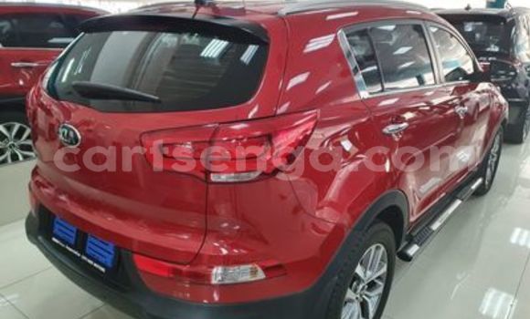 Buy Used Kia Sportage Red Car in Ezulwini in Hhohho Buy Used Kia Sportage Red Car in Ezulwini in Hhohho