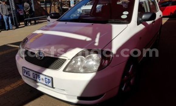 Nunua Ilio tumika Toyota Runx White Gari ndani ya Manzini nchini Manzini Nunua Ilio tumika Toyota Runx White Gari ndani ya Manzini nchini Manzini