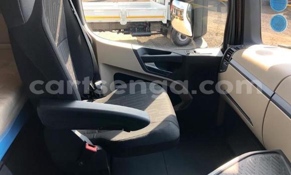 Buy Used Mercedes‒Benz 2644 White Truck in Big Bend in Lubombo Buy Used Mercedes‒Benz 2644 White Truck in Big Bend in Lubombo