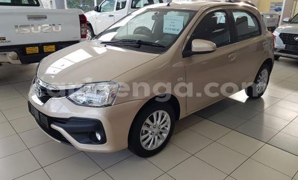 Nunua Ilio tumika Toyota Etios Beige Gari ndani ya Hlatikulu nchini Wilaya ya Shiselweni Nunua Ilio tumika Toyota Etios Beige Gari ndani ya Hlatikulu nchini Wilaya ya Shiselweni