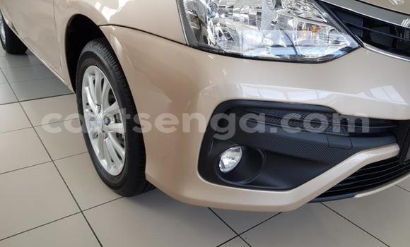 Buy Used Toyota Etios Beige Car in Hlatikulu in Shiselweni District Buy Used Toyota Etios Beige Car in Hlatikulu in Shiselweni District