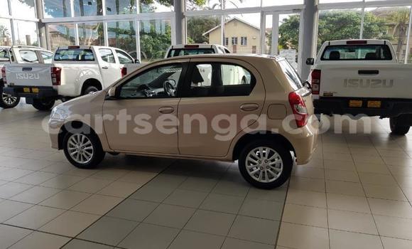 Buy Used Toyota Etios Beige Car in Hlatikulu in Shiselweni District Buy Used Toyota Etios Beige Car in Hlatikulu in Shiselweni District
